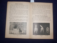 1935 PROTECTION IN NATURE BY GAYNELLE DAVIS - UNIT STUDY BOOK NO. 352 - J 9486