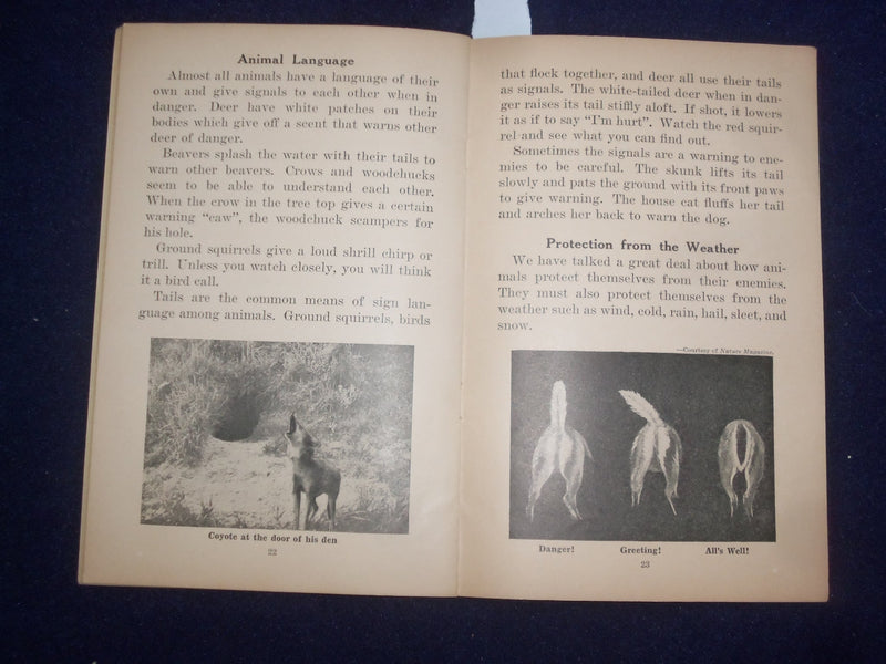 1935 PROTECTION IN NATURE BY GAYNELLE DAVIS - UNIT STUDY BOOK NO. 352 - J 9486