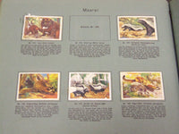 1930'S RICH'S SERIE AF DYRENES VERDEN ANIMAL TOBACCO CARDS ALBUM - KD 3181