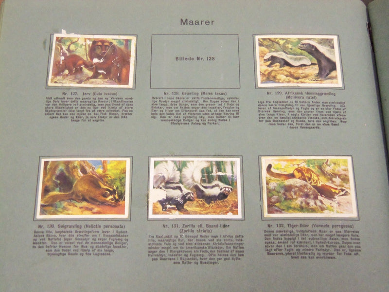 1930'S RICH'S SERIE AF DYRENES VERDEN ANIMAL TOBACCO CARDS ALBUM - KD 3181
