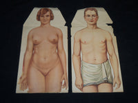 MAN & WOMAN ANATOMY ILLUSTRATED DIAGRAMS LOT OF 2 - NUDE - J 5803
