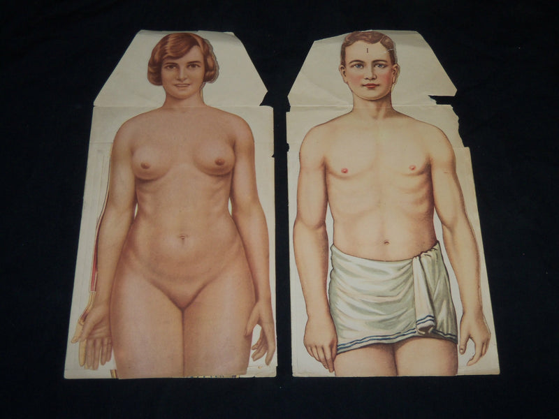 MAN & WOMAN ANATOMY ILLUSTRATED DIAGRAMS LOT OF 2 - NUDE - J 5803