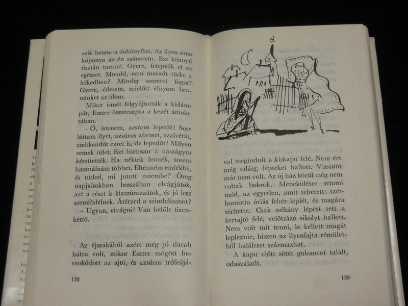 1971 ESZTER ES A FAJDKAKAS HARDCOVER BOOK BY TATAY SANDOR - HUNGARIAN - J 7036