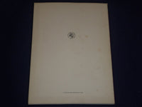 1969 THE OSBERG FIND SOFTCOVER BOOK BY THORLEIF SJOVOLD - NICE PHOTOS - J 1651