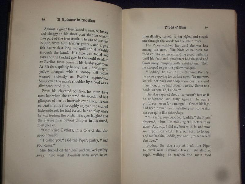 1906 A SPINNER IN THE SUN HARDCOVER BOOK BY MYRTLE REED - KD 9040