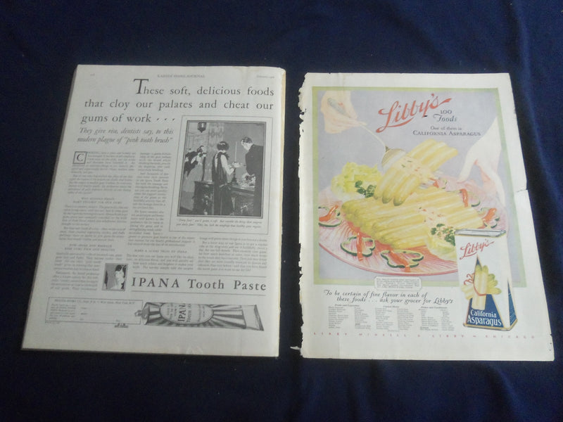 1928 FEBRUARY LADIES' HOME JOURNAL MAGAZINE - SWAN SONG - SP 6482W