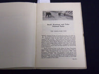 1931 BANFF KOOTENAY AND YOHO NATIONAL PARKS GUIDE BOOK - OTTAWA - J 8186