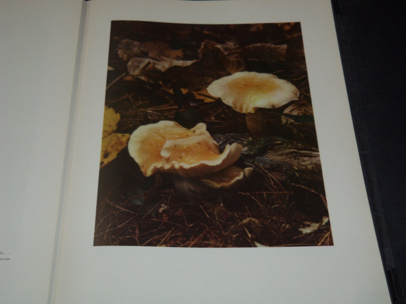 1954 WOODLAND PORTRAITS VOLUME BY JEANNETTE KLUTE - KODAK - 50 PLATES - KD 6247B