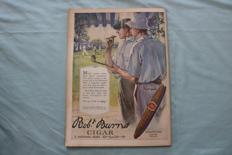 1919 MAY 10 THE LITERARY DIGEST MAGAZINE - SPRING COVER - E 26615