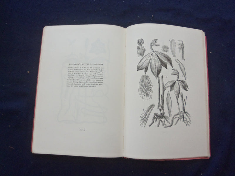 1948 ORCHIDS IN RETROSPECT SOFTCOVER BOOK BY OAKES AMES - KD 8206