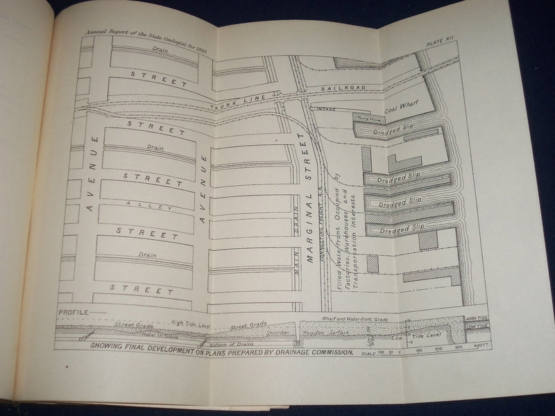 1897 GEOLOGICAL SURVEY OF NEW JERSEY ANNUAL REPORT - NICE FOLD OUTS - J 225