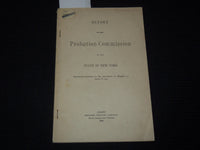 1906 NEW YORK PROBATION COMMISSION REPORT- LAWS OF 1905 - ALBANY - K 3099
