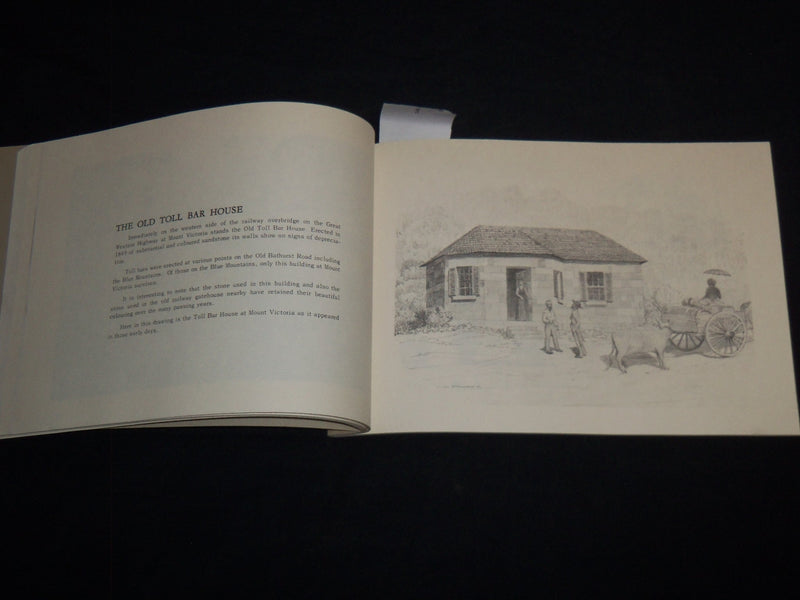 1974 A PICTORIAL HISTORY OF THE BLUE MOUNTAINS BOOK - SOFTCOVER - J 8715