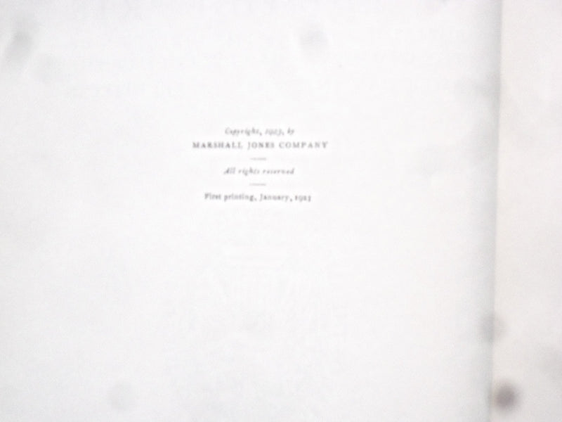 1923 THE SIGNIFICANCE OF THE FINE ARTS HARDCOVER BOOK - KD 8361