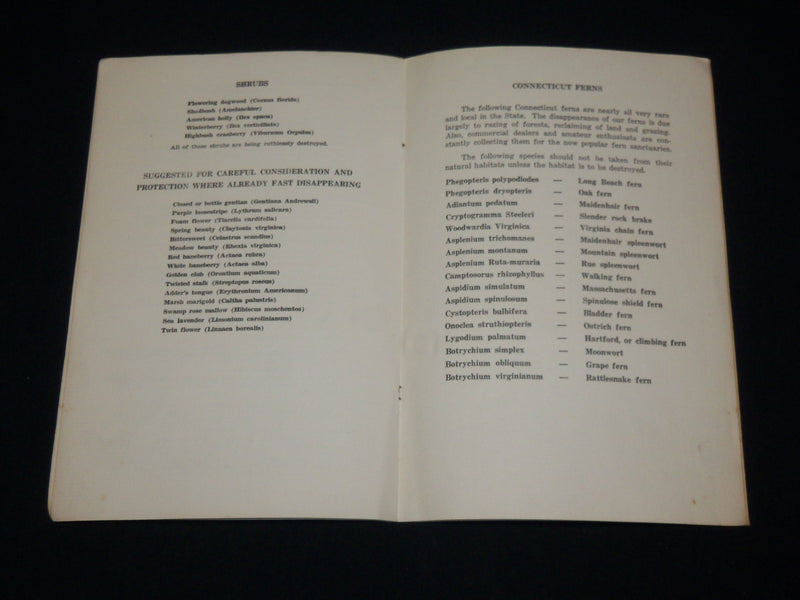 1900'S CONSERVATION LIST OF CONNECTICUT WILD FLOWERS SOFTCOVER BOOK - J 6511