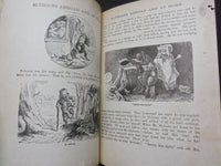 1880'S PEEK A BOO CHILDREN'S BOOK - PICTURES & STORIES FOR OUR PETS - KD 1744F