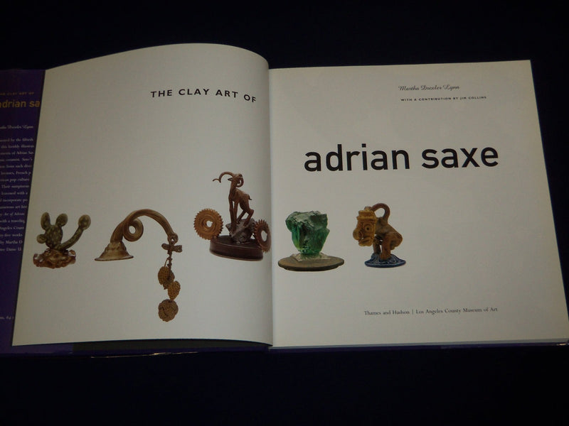 The Clay Art of Adrian Saxe by Martha D. Lynn (1994, Hardcover) - I 343