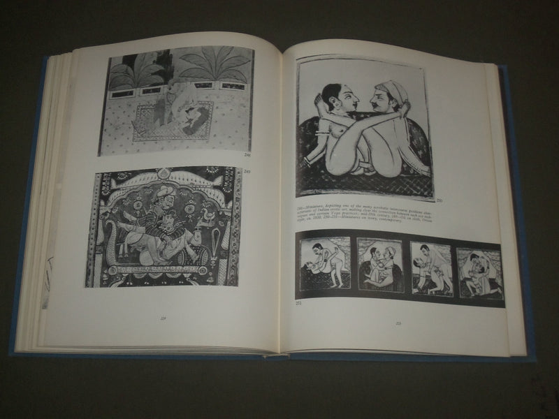1968 EROTIC ART IN THE FINE ARTS BOOK BY DR. PHYLLIS KRONHAUSEN - I 1479