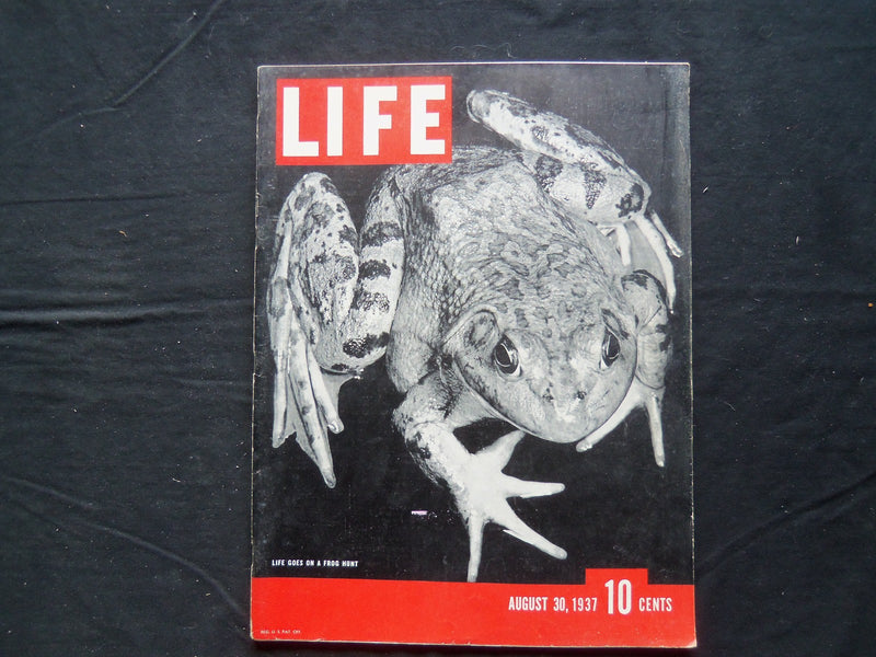 1937 AUGUST 30 LIFE MAGAZINE - LIFE GOES ON A FROG HUNT - L 41