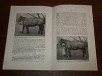 1926 OCTOBER TESTING DRAFT HORSES BULLETIN #240 - IOWA STATE COLLEGE - K 1122
