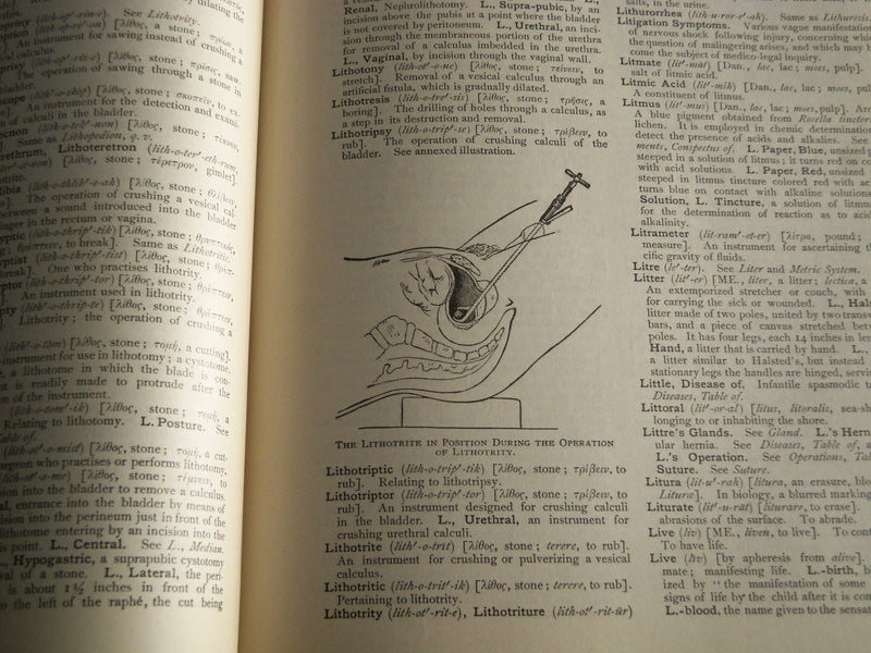 1907 AN ILLUSTRATED DICTIONARY OF MEDICINE BIOLOGY BOOK BY GEORGE GOULD- KD 1421