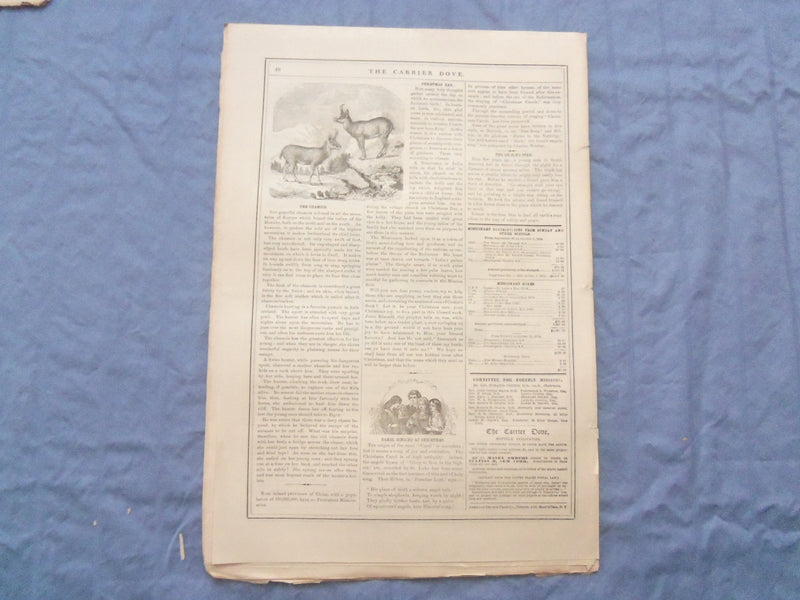 1873-1877 CARRIER DOVE NEWSPAPER -PROTESTAND EPISCOPAL CHURCH-LOT OF 60- NP 8413