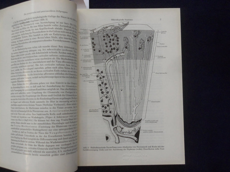 1958 NIERENKRANKHEITEN PHYSIOLOGIE HARDCOVER BOOK - HANS SARRE- GERMAN - KD 9004