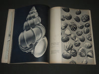 1950 JUNE DU GERMAN MAGAZINE - NICE PHOTOS - ST 5173