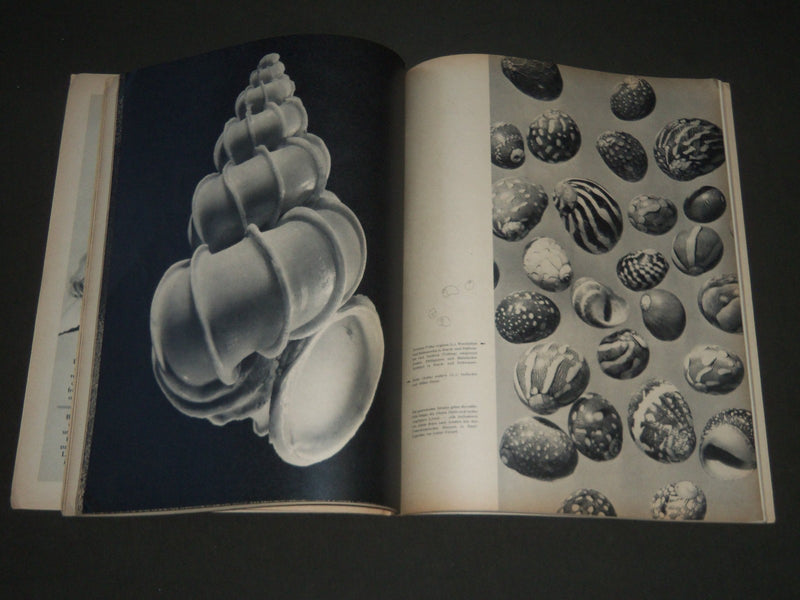 1950 JUNE DU GERMAN MAGAZINE - NICE PHOTOS - ST 5173