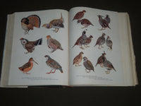 1958 THE HUNTER'S ENCYCLOPEDIA EDITED BY RAYMOND R. CAMP BOOK - I 763