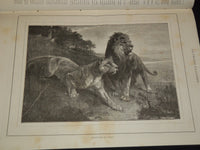 1886-1889 LA CHASSE ILLUSTREE FRENCH HUNTING MAGAZINE LOT OF 23 ISSUES - NP 5349