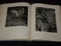 1933-1937 THE GALLERY PHOTOGRAPHY MAGAZINE BOUND VOLUMES NO. 1-5 - KD 655