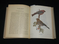 1901 BIRDS AND NATURE IN NATURAL COLORS VOLUME 10 BY WILLIAM HIGLEY - KD 7512