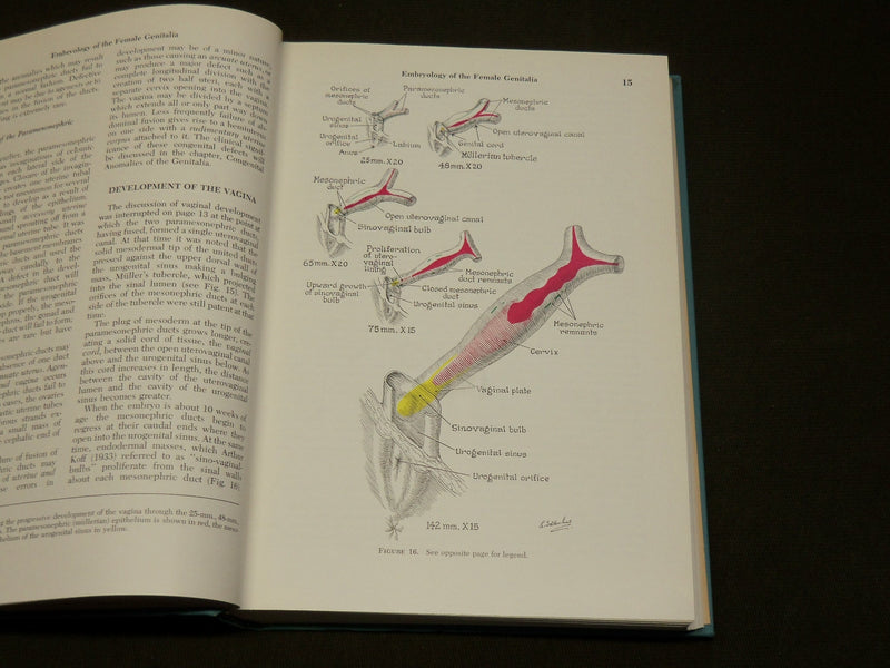 1969 THE GYNECOLOGY OF CHILDHOOD AND ADOLESCENCE BOOK BY HUFFMANN - KD 6137