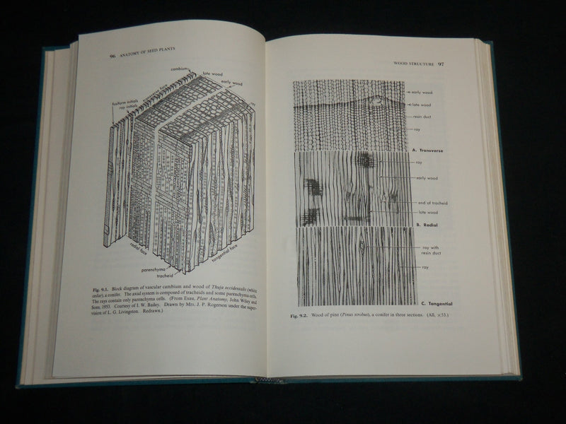 1966 ANATOMY OF SEED PLANTS HARDCOVER BOOK BY KATHERINE ESAU - KD 6949