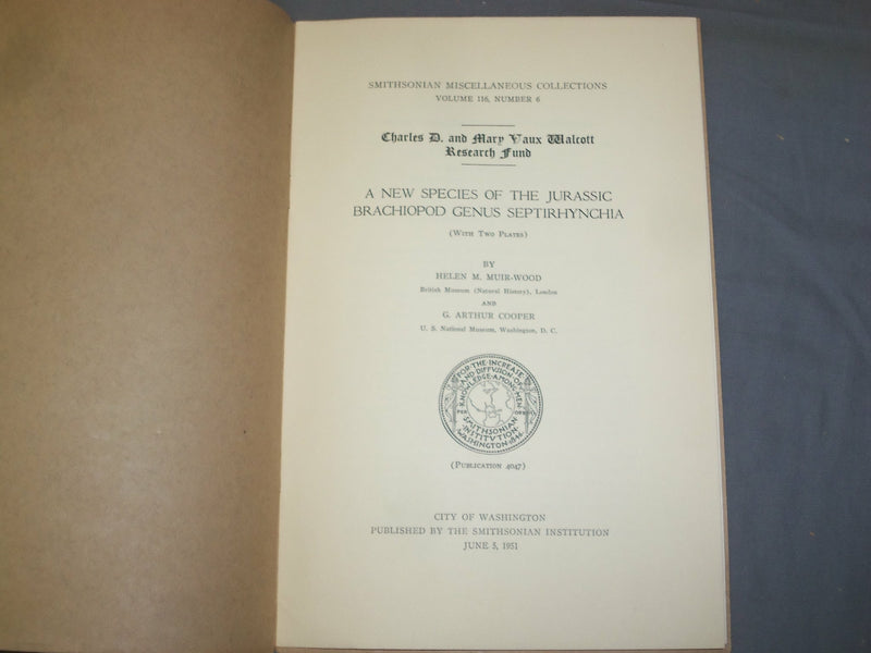 1951 & 1966 SILICIFIED ORDOVICIAN & JURASSIC BRACHIOPOD - LOT OF 2 - J 4959