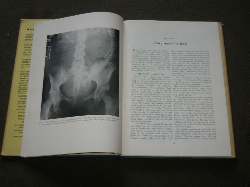 1953 MAN'S BACK HARDCOVER BOOK BY THEODORE A. WILLIS M. D. - KD 6215