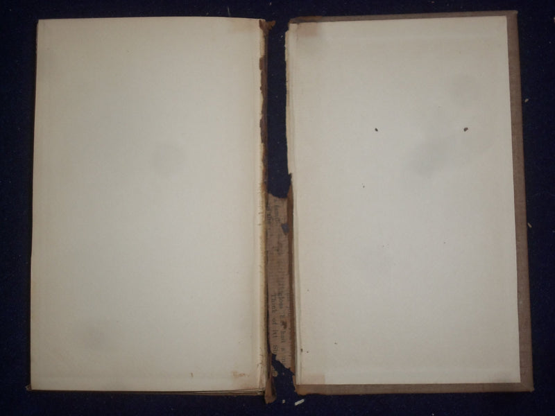 1901 FROM WITHIN LYRICAL SKETCHES HARDCOVER BOOK BY JOHN IRVING PEARCE - KD 9127