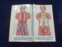 1958 TRANS-VISIONS OF ANATOMICAL CHROMOGRAPHS HARDCOVER BOOK BY DAVIS - KD 8756