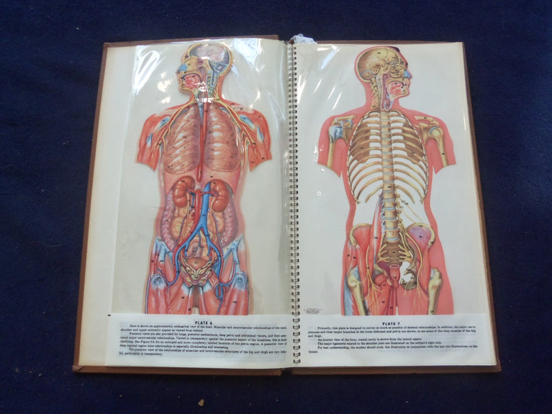 1958 TRANS-VISIONS OF ANATOMICAL CHROMOGRAPHS HARDCOVER BOOK BY DAVIS - KD 8756