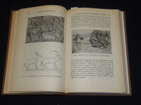 1940-1950 BULLETIN DE L'INSTITUT EGYPTIEN FRENCH VOLUMES LOT OF 10 - KD 52B