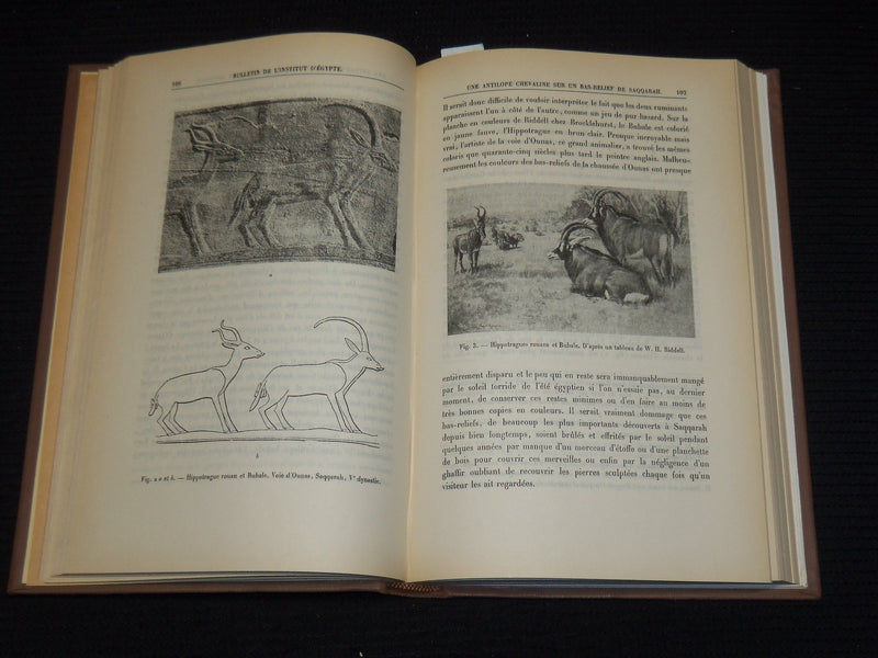 1940-1950 BULLETIN DE L'INSTITUT EGYPTIEN FRENCH VOLUMES LOT OF 10 - KD 52B