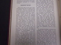 1909 BIRD NEWS BOUND VOLUME NO. 1 - AGRICULTURAL SOCIETY OF CALIFORNIA - KD 5777