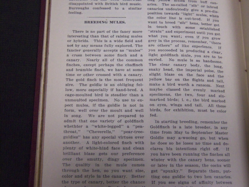 1909 BIRD NEWS BOUND VOLUME NO. 1 - AGRICULTURAL SOCIETY OF CALIFORNIA - KD 5777
