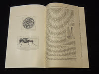 1916-1931 U. S. PUBLIC HEALTH BULLETINS LOT OF 5 - MALARIA - TYPHOID - K 2026