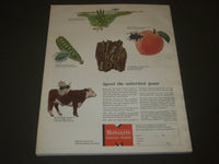 1949 FEBRUARY FORTUNE MAGAZINE - GREAT COVER & ADS - F 226