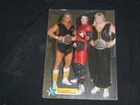1989 JULY WRESTLING ALL STARS SCRAPBOOK MAGAZINE - WRESTLEMANIA V - CW 646