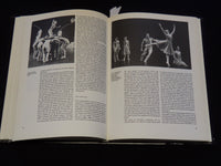 1987 NEDERLANDS DANS THEATRE COOS VERSTEEG HARDCOVER BOOK - DUTCH - KD 5981Q
