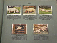 1930'S RICH'S SERIE DANSKE HUSDYR ANIMAL TOBACCO CARDS ALBUM - DANISH - KD 3183