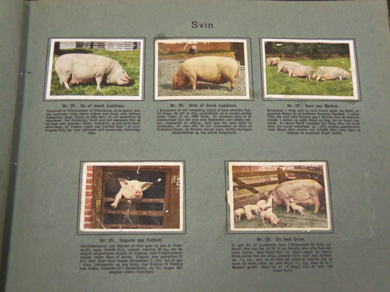 1930'S RICH'S SERIE DANSKE HUSDYR ANIMAL TOBACCO CARDS ALBUM - DANISH - KD 3183